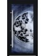 LIM FS4 - aluminiowe drzwi wejściowe z taflą szkła